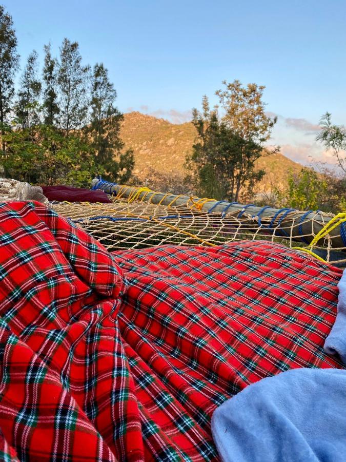 Hidden Valley Backpackers イリンガ エクステリア 写真