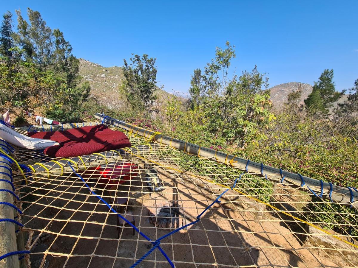 Hidden Valley Backpackers イリンガ エクステリア 写真